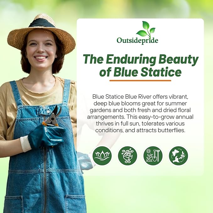 Outsidepride Blue Statice Flower Seeds - 1000 Pcs Annual Easy to Grow Drought Tolerant Flower Seeds for Floral Arrangements, Borders, & Pollinator Garden