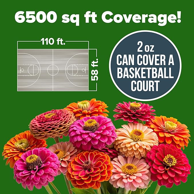 HOME GROWN Zinnia Seeds for 2026 - California Giant Mix - 7,300+ (2 oz) Non GMO Plant Wildflower Blooms – Bulk Seeds for Planting Flowers Outside - Pollinator Gardens (Zinnia elegans)