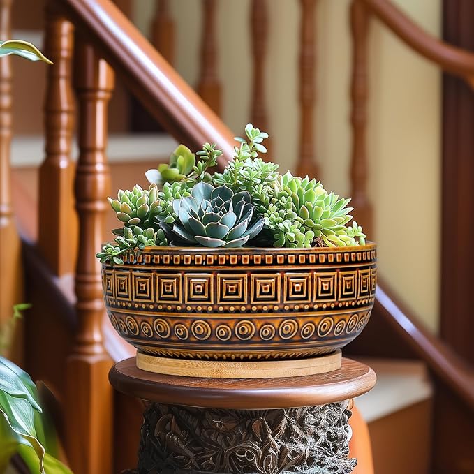G EPGardening Bonsai Pots- 8 Inch Ceramic Succulent Planter with Drainage and Plant Saucer, Shallow Round Planter Bowl for Indoor Plants Flower, Boho Room Decor, Birthday Gifts, Brown