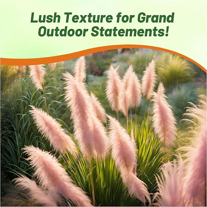 Outsidepride Pink Pampas Grass Seeds – 1,000 Pcs. Perennial, Drought-Tolerant Ornamental Grass for Large Garden Borders, Privacy Landscaping, Xeriscaping, and Low-Maintenance Outdoor Spaces