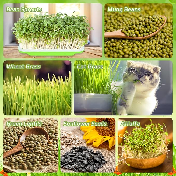 Legigo 16 Pack Green Seed Sprouter Trays- Soil-Free Cultivation Germination Tray, BPA Free Nursery Tray with Planting Paper for Indoors or Outdoors Sprouting Seeds, Grow Grass, Beans and More