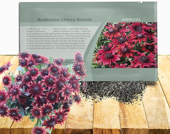 Outsidepride Cherry Brandy Rudbeckia Seeds - 50 Pcs. Annual, Easy to Grow & Self-Seeding Flower Seeds for Planting Red Blooms, for Low Maintenance Pollinator Gardens & Erosion Control