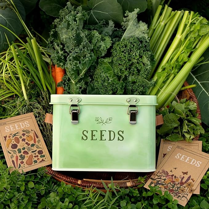 1Canoe2 Tin Seed Organizer Storage Box, Garden Seed Packet Vault Container, Gardening Supplies, Greenhouse Accessories, Gardening Gifts for Women (Green)