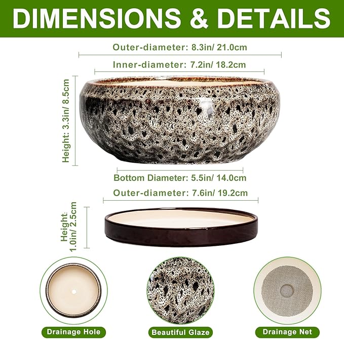 Bonsai Pots - 8 Inch Ceramic Pots for Plants with Drainage Hole and Saucer, Round Succulent Pot, Bonsai Planters Indoor Outdoor, Shallow Planter Bowl, Patio Decor, Gardening Gift, White