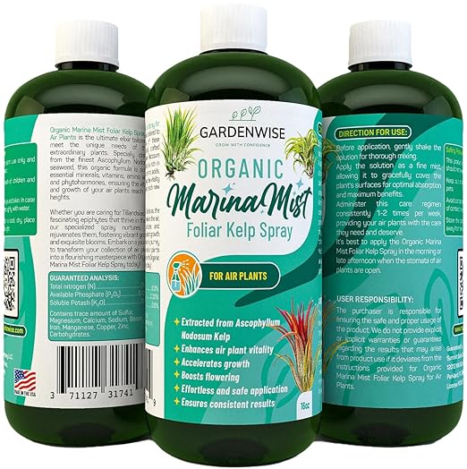 Organic Marina Mist Kelp Air Plants Fertilizer Spray | Plant Food for Tillandsia Air Plants | Air Plant Mister - Enhances Bloom, Vitality, and Pup Growth (16 OZ)