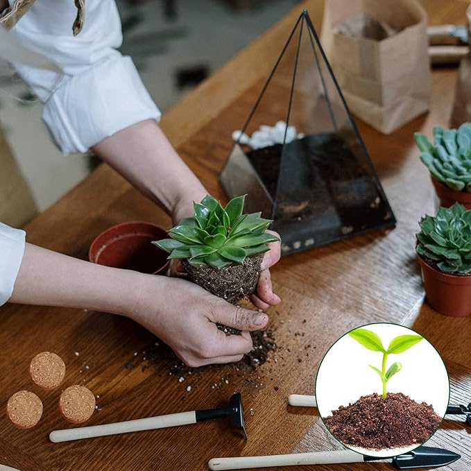 ZeeDix Coco Coir Potting Soil, 50pcs 30mm Compressed Coconut Fiber Seed Starter Soil Pellets, Coco Peat Soil Discs for Indoor Outdoor Plants, Herbs, Houseplants, Flowers, Succulents, Vegetables