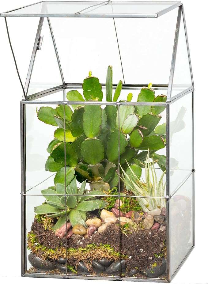 D'Eco Glass Geometric Centerpiece (6x5x11)- Tabletop Planter Terrarium for Home Decor & Wedding Letterbox- Fill w/Succulents, Holiday Decorations, Mini Trees & Ornaments- Xmas Gift for Plant Lovers