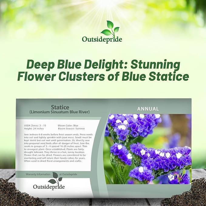 Outsidepride Blue Statice Flower Seeds - 2000 Pcs Annual Easy to Grow Drought Tolerant Flower Seeds for Floral Arrangements, Borders, & Pollinator Garden