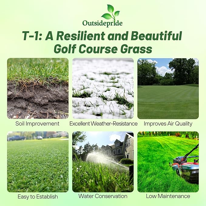 Outsidepride T-1 Creeping Bentgrass Seed - 1 lbs Fine-Bladed, Premium Quality Turf, Grass Seed for Smooth Surface, & High-Traffic Areas, Ideal Grass for Golf Courses Putting Greens, & Fairways