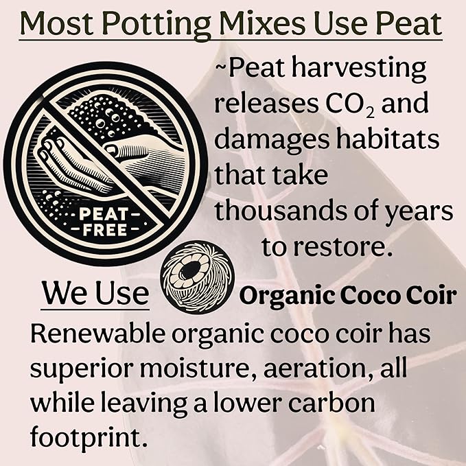 Craft Houseplant Potting Mix, Elite House Plant Soil, Chunky, Well Draining Potting Soil for Indoor Plants, Tropical Plants & Potted Plants, Sustainable & Peat Free, Less Prone to Gnats 4qt