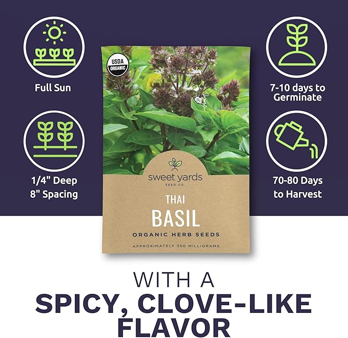 Organic Thai Basil Seeds – Seed Packet of Over 650 Open Pollinated Non-GMO Seeds – Sweet Yards Seed Co.