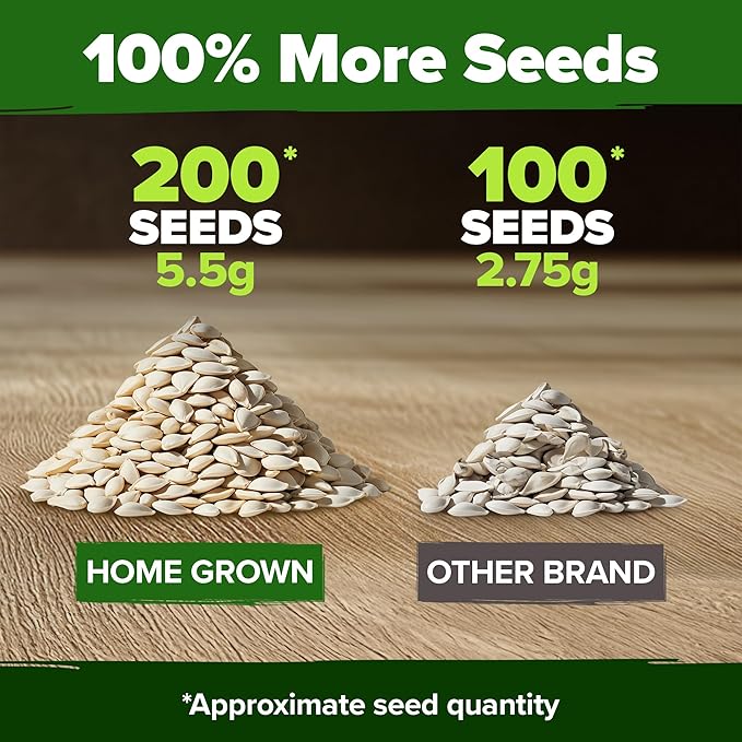 HOME GROWN Organic Cucumber Seeds - 200 Marketmore Heirloom Non GMO Vegetable Seeds for Planting in Trellises, Raised Beds, Containers (Cucumis sativus)