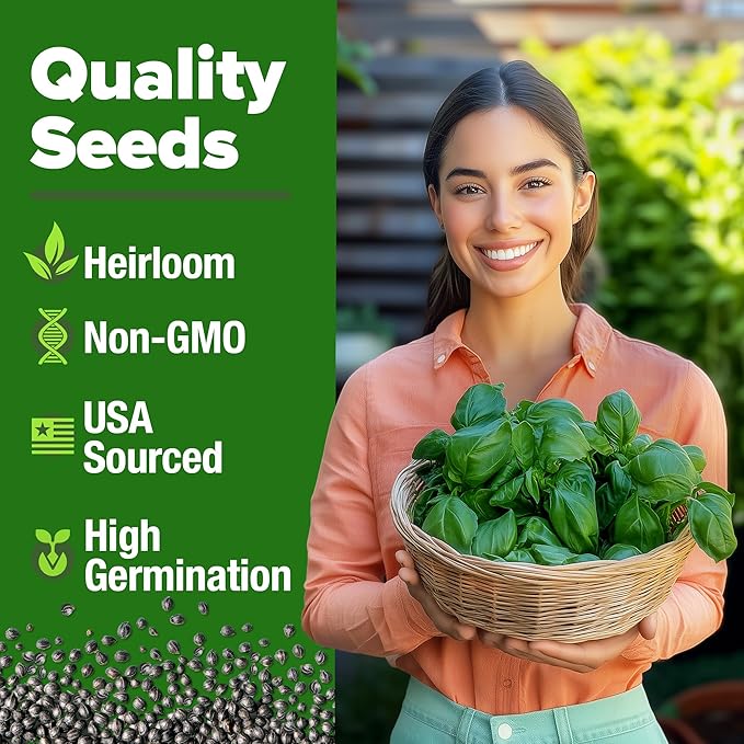 HOME GROWN Italian Basil Seeds Bulk Pack 1,424 Sweet Large Leaf Basil Seeds for Planting and Heirloom Herb Seeds for Planting Indoors or Outdoors (Ocimum basilicum)