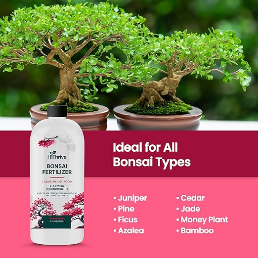 16oz Bonsai Tree Live Liquid Plant Food - Makes 32 Gallons of Bonsai Fertilizer Liquid, Premium Macronutrient Formula Enriched with Micronutrients for Healthy Roots, Branching & Foliage