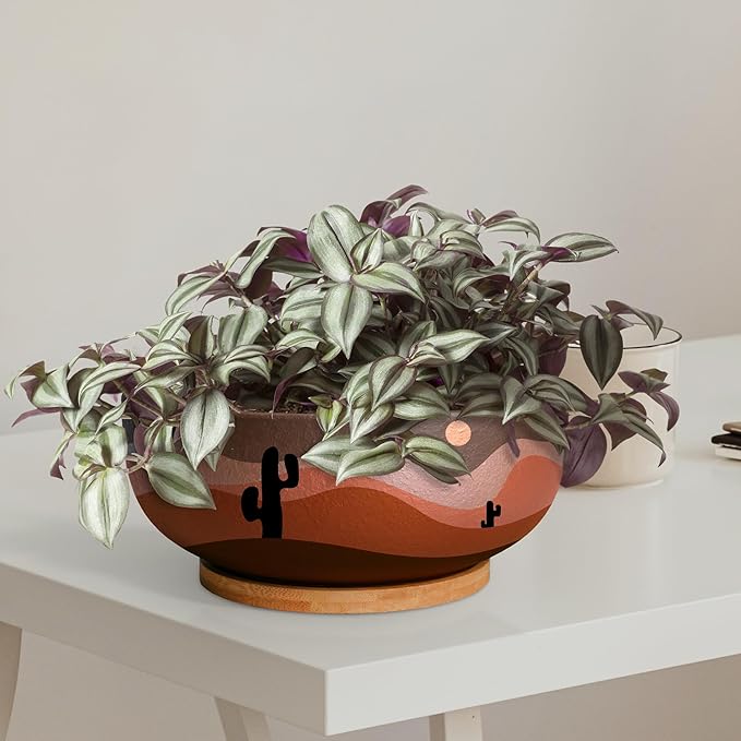 SQOWL 10 Inch Large Terracotta Planter Pot,Clay Succulent Bonsai Planter with Drainage Hole and Bamboo Saucer for Indoor Plants