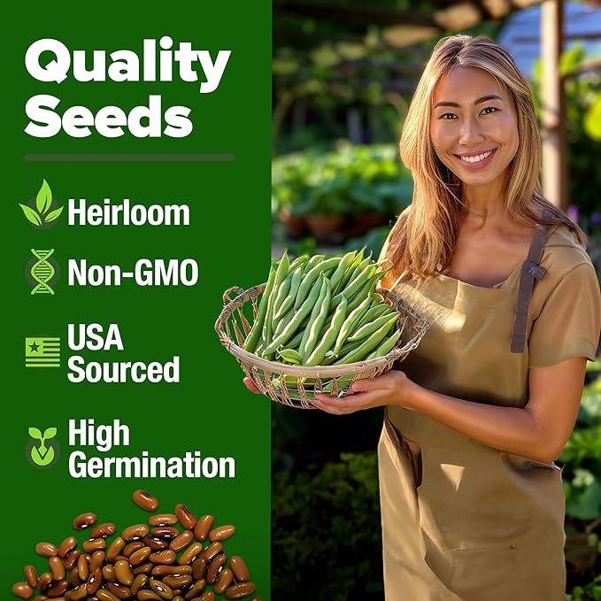 HOME GROWN Contender Bush Bean Pack - 28 Heirloom Green Beans, Vegetable Seeds for Planting, Emergency Food Supply (Phaseolus vulgaris)