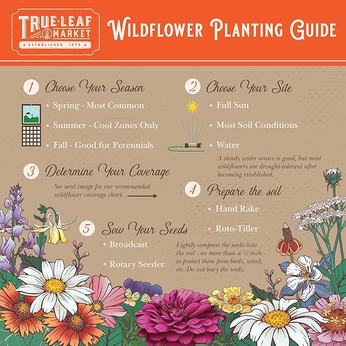 Wildflower Seeds Bulk, 2 Oz. 80,000+ Seeds – Butterfly & Hummingbird Mix with 23 Non-GMO Varieties – Pollinator Flower Seed for Planting