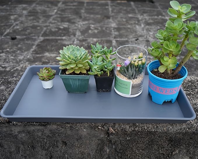 2 Pack Plant Saucer Tray Rectangular, Plant Growing Nursery Trays, Heavy Sturdy Seed Starting Trays, Plant Starter Trays for Indoors No Holes, Seed Starter Growing Tray (17.5"x10.6", Gray)