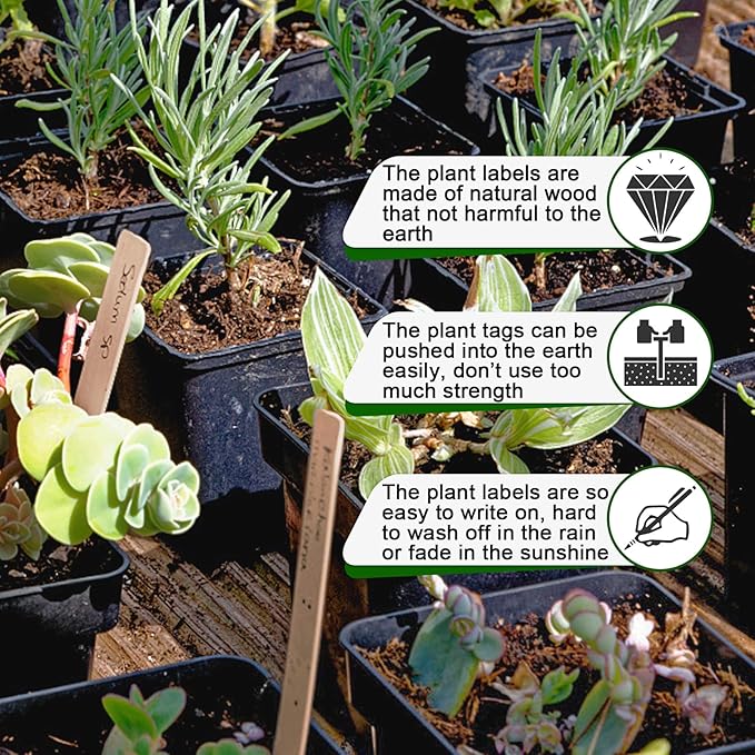Zkptops 50Pcs Plant Labels 6 Inch Wooden Plant Tags Waterproof Garden Markers Plant Markers Garden Labels Sticks Eco-Friendly Wooden Plant Sign Stakes Sticks for Seed Pot Herbs Flowers Vegetables