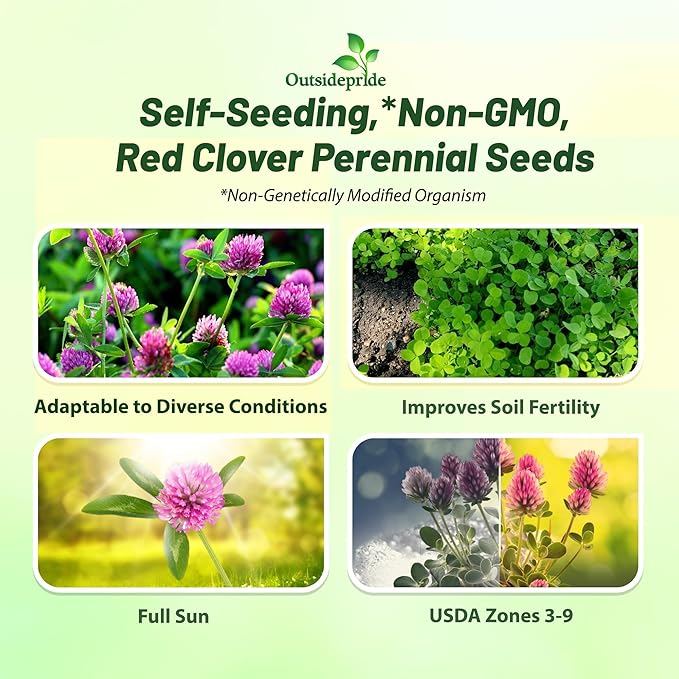 Outsidepride Perennial Red Clover Seeds - 5 lbs. Self-Seeding, Nitrocoated, Inoculated Clover Seeds for Lawn, Yard, Forage, Pasture, Hay, Nitrogen Fixation, Soil Improvement & Crop Rotation Programs