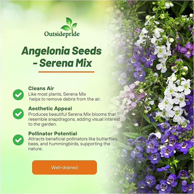Outsidepride Serena Mix Angelonia Snapdragon Seeds for Planting - 20 Pcs Perennial Flower Seeds, Pollinator-Friendly, Heat, Humidity & Drought-Tolerant, Compact Growth Habit for Containers