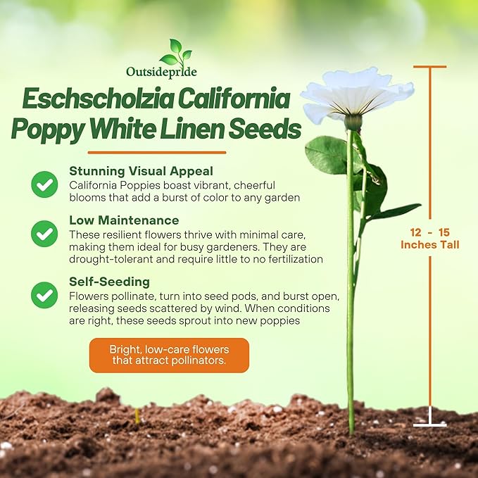 Outsidepride White Linen California Poppy Seeds - 1/4 Lb. Annual, Low Maintenance & Drought Tolerant Wildflower Seeds for Planting Vibrant Spring Blooms for Pollinator Gardens & Wildlife Habitats