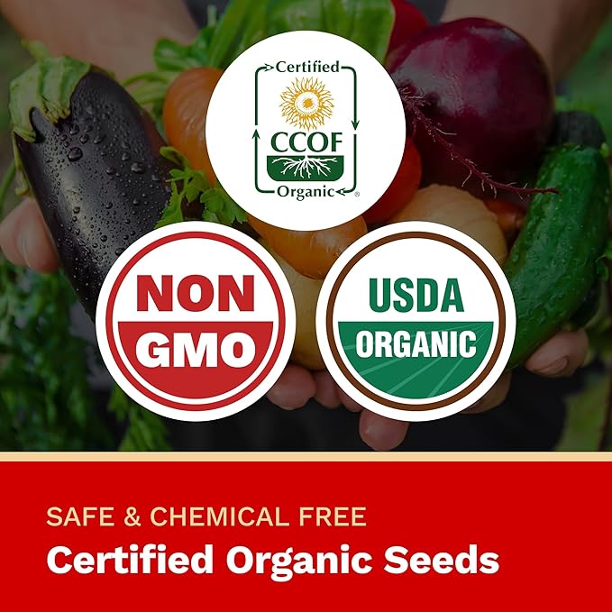 The Harvest Company Organic Genovese Basil, Non-GMO, Certified USDA Organic, Open-Pollinated, Garden Seeds for Indoor Outdoor Planting, 200 Seeds