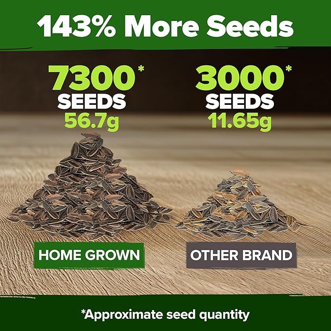 HOME GROWN Zinnia Seeds for 2026 - California Giant Mix - 7,300+ (2 oz) Non GMO Plant Wildflower Blooms – Bulk Seeds for Planting Flowers Outside - Pollinator Gardens (Zinnia elegans)