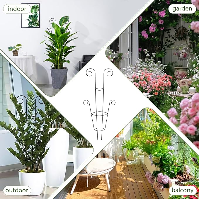 ZOUTOG Trellis for Climbing Plants Indoor 4 Pack 30 Inch,Rustproof Metal Garden Trellis for Potted Plants,Sturdy Houseplant Support Indoor Outdoor for Ivy Pothos Monstera Hoya Flower Vine(Black Round)