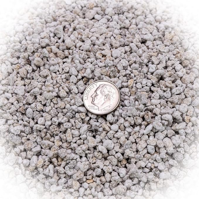 GARDENERA Premium Organic Perlite - Medium Grade - Horticultural Soil Amendment for Indoor & Outdoor Container Plants for Drainage Management and Enhanced Growth - 5 Quart