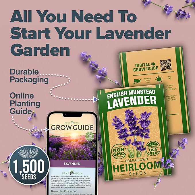 HOME GROWN English Lavender Seeds 1,500+ Non GMO Wildflower Seed for Planting Indoor/Outdoor, High Germination, Plant Flower Seeds (Lavandula antustifolia)
