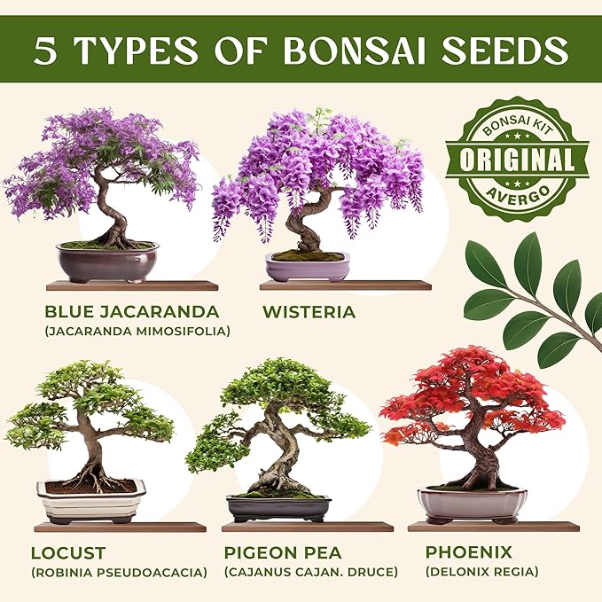 AVERGO Bonsai Tree Kit for Beginners – 5X Unique Japanese Bonzai Trees | Complete Indoor Starter Kit for Growing Plants with Bonsai Seeds, Tools & Planters – Gardening Gifts for Women & Men