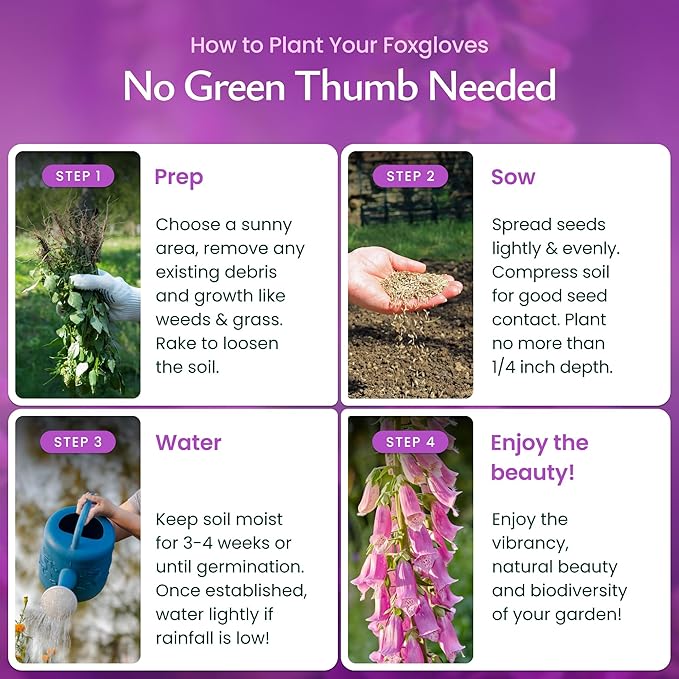 Created by Nature Foxglove Seeds, 62,700 Perennial Seeds, Purple, Pink, and White Flowers