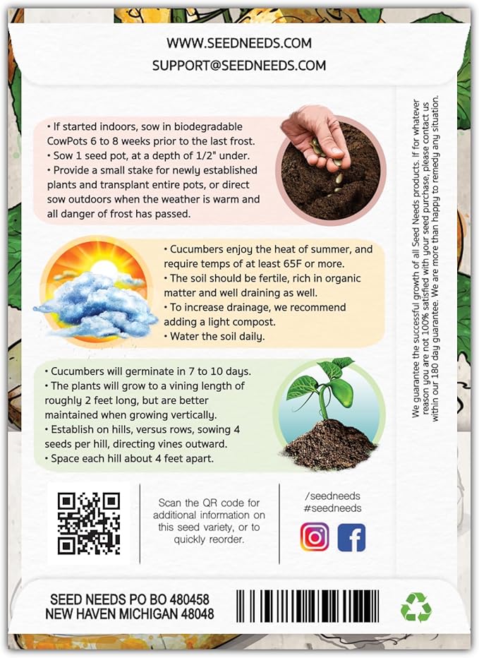 Seed Needs Cucumber Seeds for Planting Lemon Cucumbers - Heirloom Non-GMO & Untreated Vegetable Seeds to Grow an Outdoor Home Grown Veggie Garden (1 Pack)