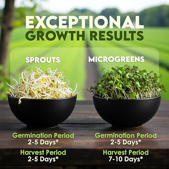 Nature Jims Sprouts Organic Broccoli Seeds for Sprouting – Certified Non-GMO, Rich in Sulforaphane, Swift-Growing Microgreen Seeds for Nutritious Broccoli Sprouts – Ideal for Indoor/Outdoor Use – 8oz