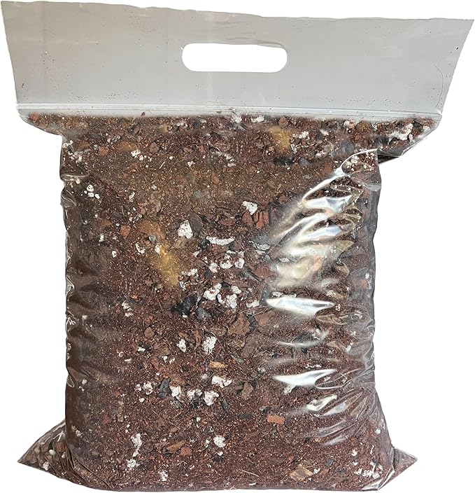 rePotme Fig & Ficus Potting Soil - Imperial Houseplant Mix - Junior Bag (4 Quarts) - Great Potting Mix for Indoor Plants