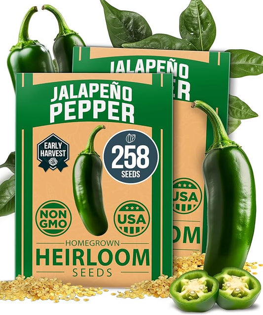 HOME GROWN Jalapeno Pepper Seeds – 258 Heirloom Seeds (Capsicum annuum) – High Germination, Easy to Grow, Early Harvest Hot Peppers