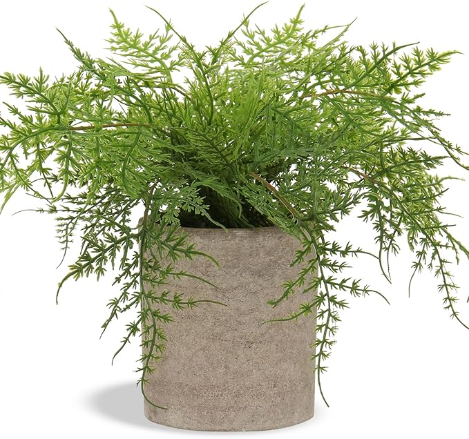 Hollyone Small Fake Plant Potted Plants Artificial Decor Silk Ferns Plant Faux Plants in Pots for Home Living Room Bedroom Desk Bathroom Window Shelf Farmhouse Decoration