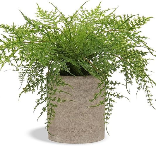 Hollyone Small Fake Plant Potted Plants Artificial Decor Silk Ferns Plant Faux Plants in Pots for Home Living Room Bedroom Desk Bathroom Window Shelf Farmhouse Decoration