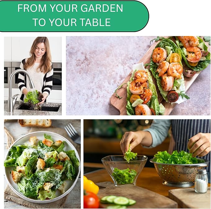 Woods Creek Seeds: Butterhead Heirloom Lettuce Seeds for Planting - Over 2,700 Non-GMO Seed Pack for Indoors, Outdoors, or as Hydroponic Seeds - Beginner-Friendly Green Leaf Lettuce Seed