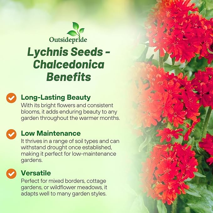Outsidepride Chalcedonica Lychnis Seeds - 10000 Pcs Perennial Flower Seeds with Long Blooming Season & Attractive to Pollinators, Easy to Propagate for Borders, Containers, or Cottage Gardens