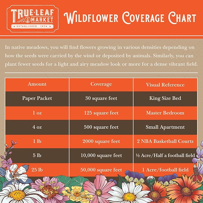 Wildflower Seeds - Rocky Mountain Mix, 2 oz (80,000+ Seeds) – 18 Non-GMO Varieties – Bulk Pollinator-Friendly Blend for Planting