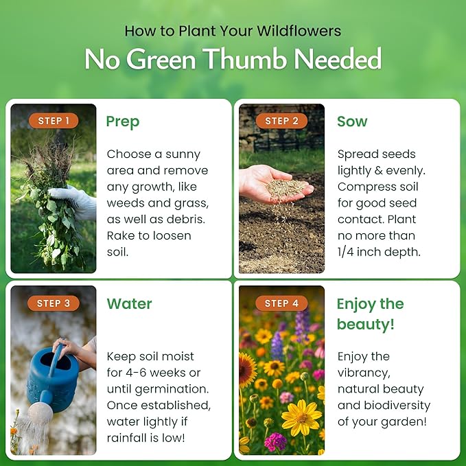 Created By Nature Michigan Wildflower Seed Mix, 16 Flower Varieties, 40,000 Seeds