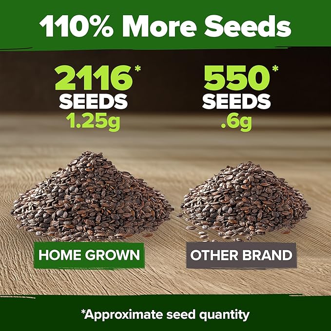 HOME GROWN Catnip Seeds (Bulk Pack) Non GMO Heirloom Herb 2,116 Seeds - Indoor or Outdoor Seed - High-Germination Cat Nip - Cat Safe Plants (Nepeta cataria)