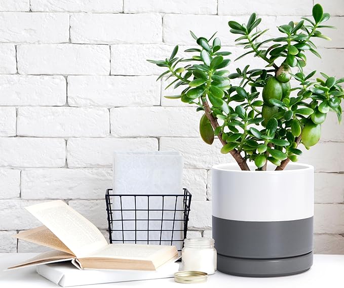 D'vine Dev Set of 2 Plants Pots, 6.5 Inch Ceramic Planter Pot for Plants with Drainage Hole and Saucer, White/Speckled Grey, 94-V-C-6