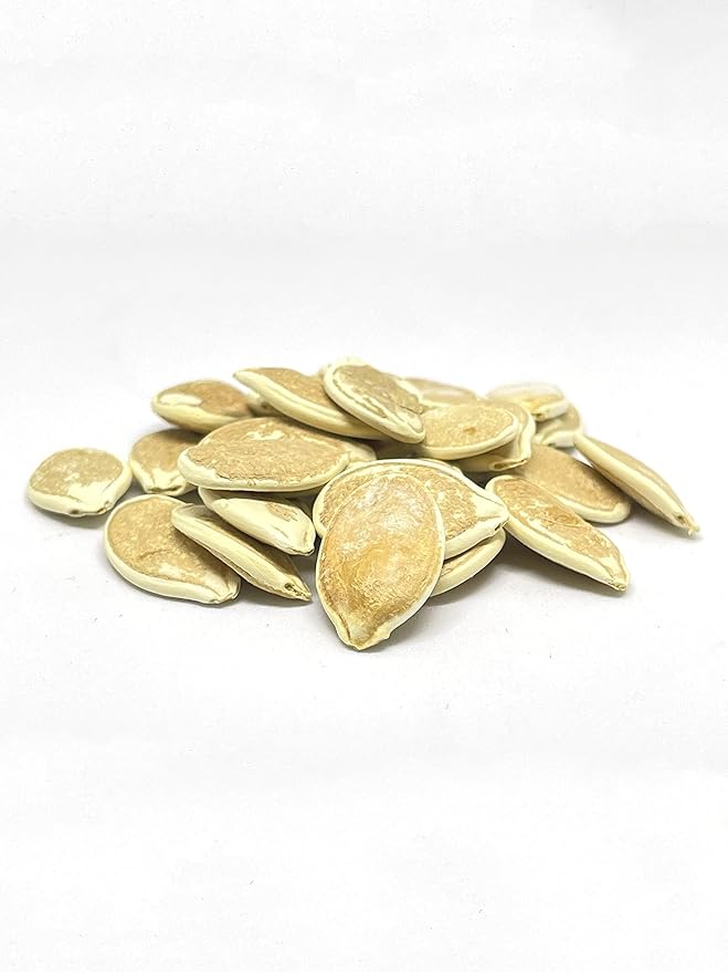 20 Big Max Pumpkin Seeds for Planting - Heirloom Non-GMO USA Grown Premium Vegetable Seeds for Planting - Grows Big Giant Pumpkins up to 100 lbs! Grown for Pies and Halloween Jack O Lanterns