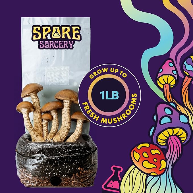 2 LB All-in-One Grow Bag: Up to 16oz of Mushrooms! Nutrient-Enhanced, Injection Port, Just Add Your Own Spores & Grow Like Magic