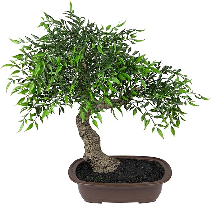 Mini Bonsai Artificial Tree in a Pot - 18”
