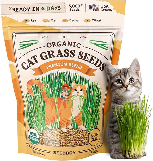 Seedboy Organic Cat Grass Seeds for Planting, Non-GMO Wheat, Oat, Rye, and Barley Cat Grass for Indoor Cats (16 oz)