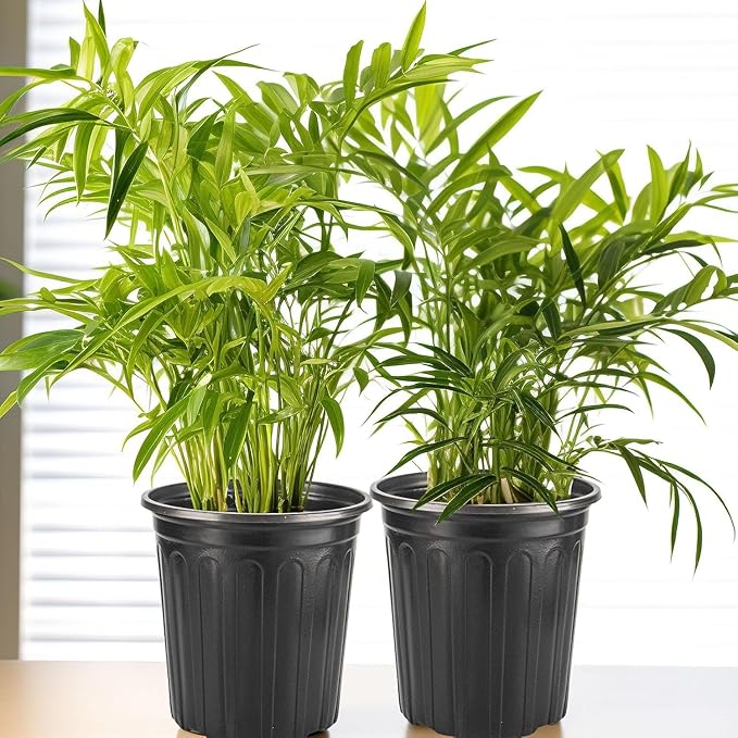 24Pack 2 Gallon Flexible Plant Nursery Pots, Soft Plastic Seedling Pots, Seed Starting Pot Flower Plant Container for Succulents, Cuttings, Transplanting Seedlings - Black